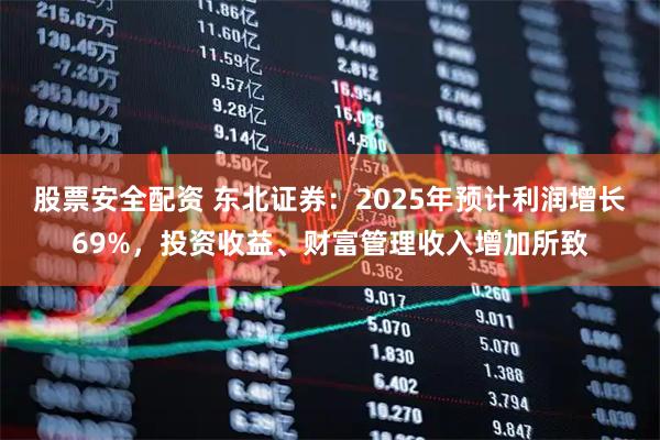 股票安全配资 东北证券：2025年预计利润增长69%，投资收益、财富管理收入增加所致