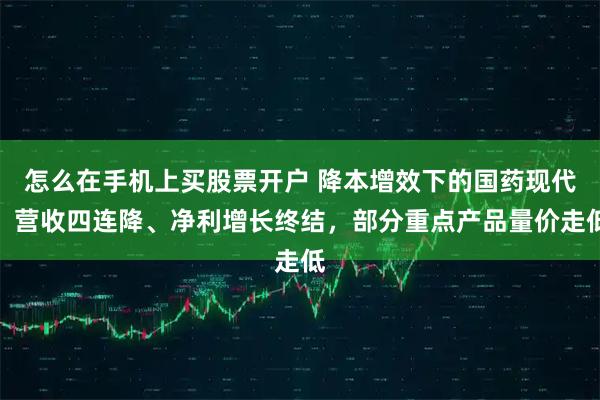 怎么在手机上买股票开户 降本增效下的国药现代：营收四连降、净利增长终结，部分重点产品量价走低